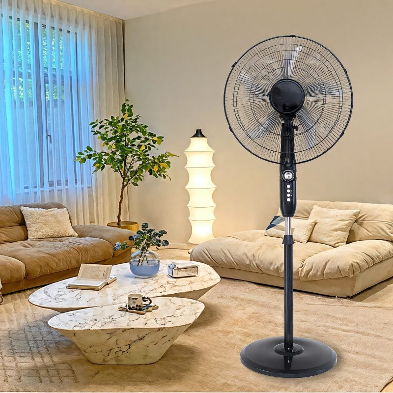 homahome1